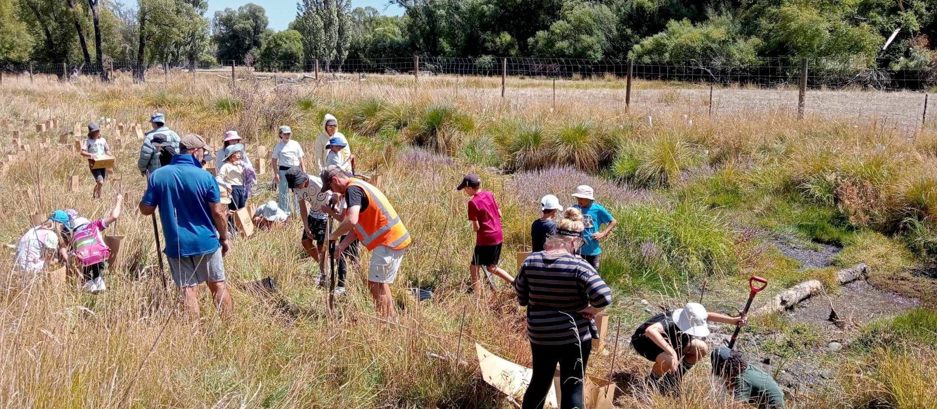 Group of vounteers planting on the edge of a wetland