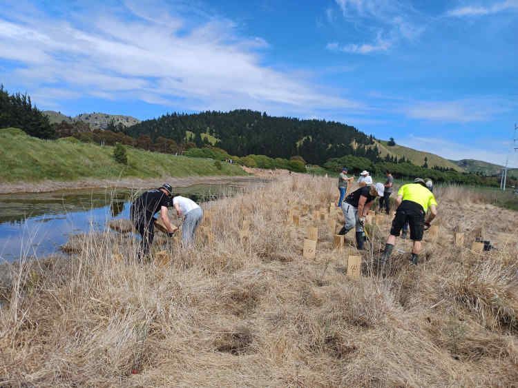 Riparian Management Guide