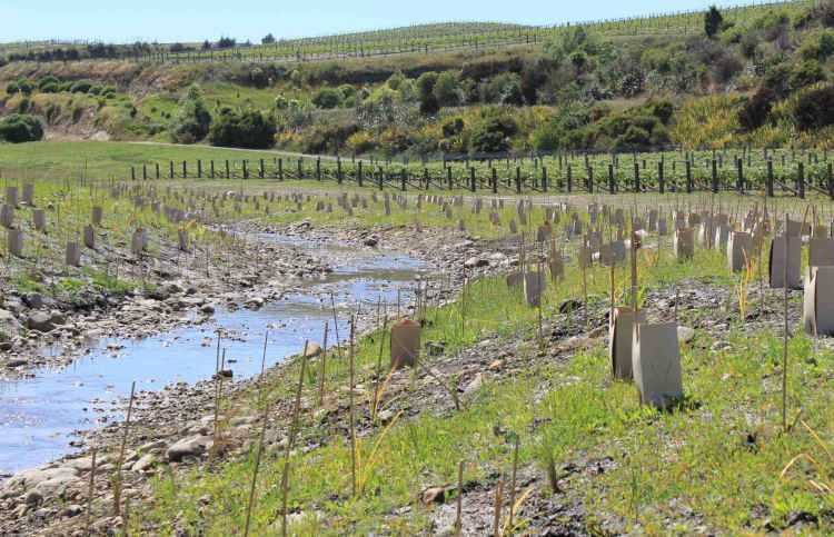 101 tips to avoid costly mistakes