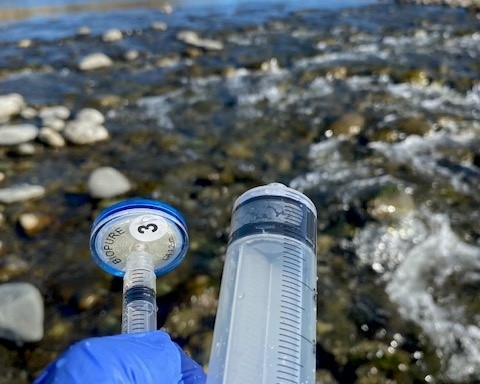 How to collect and analyse eDNA