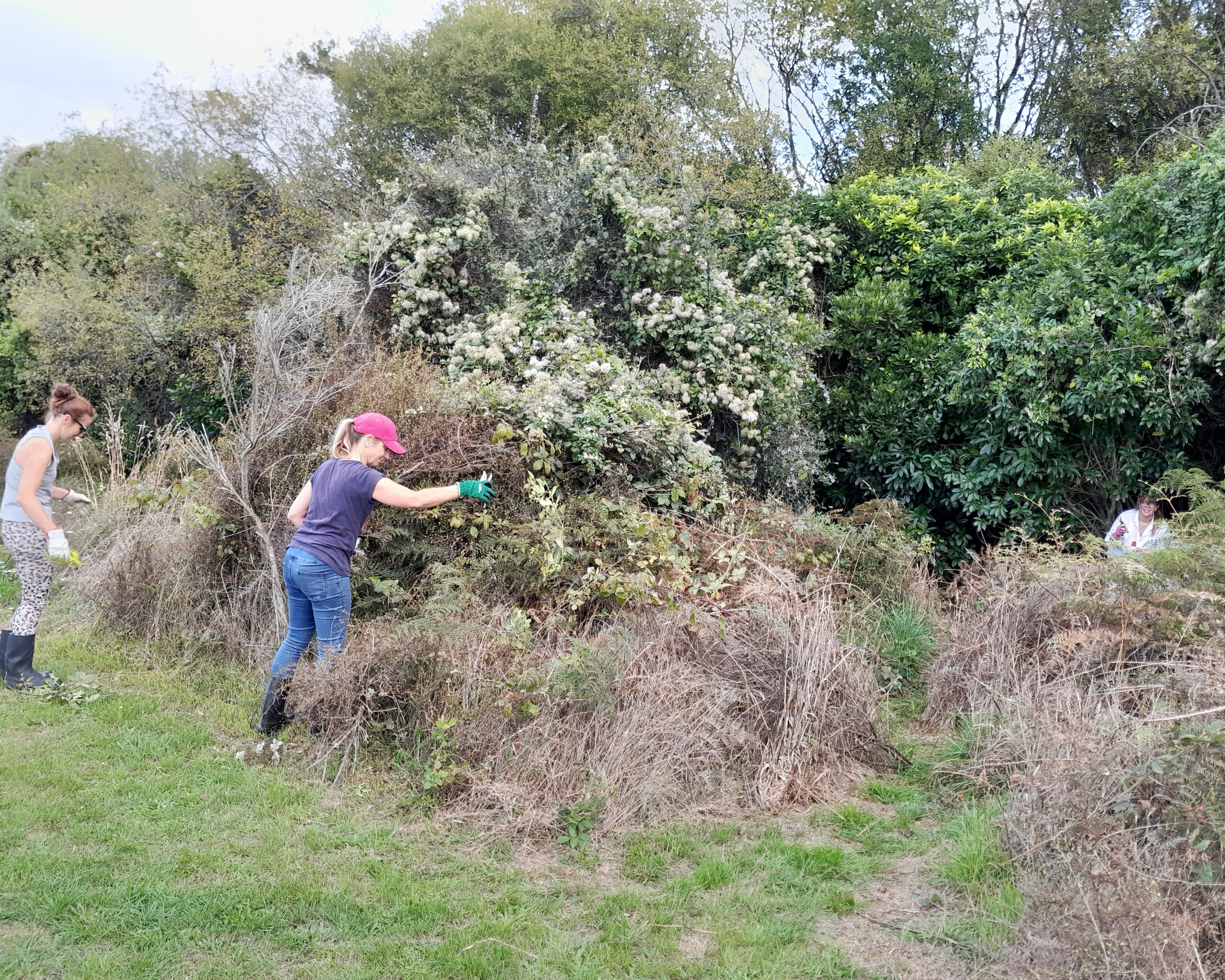 Controlling weeds in riparian margins