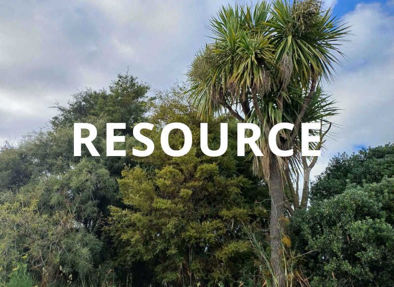 North Marlborough Planting and Restoration Guide