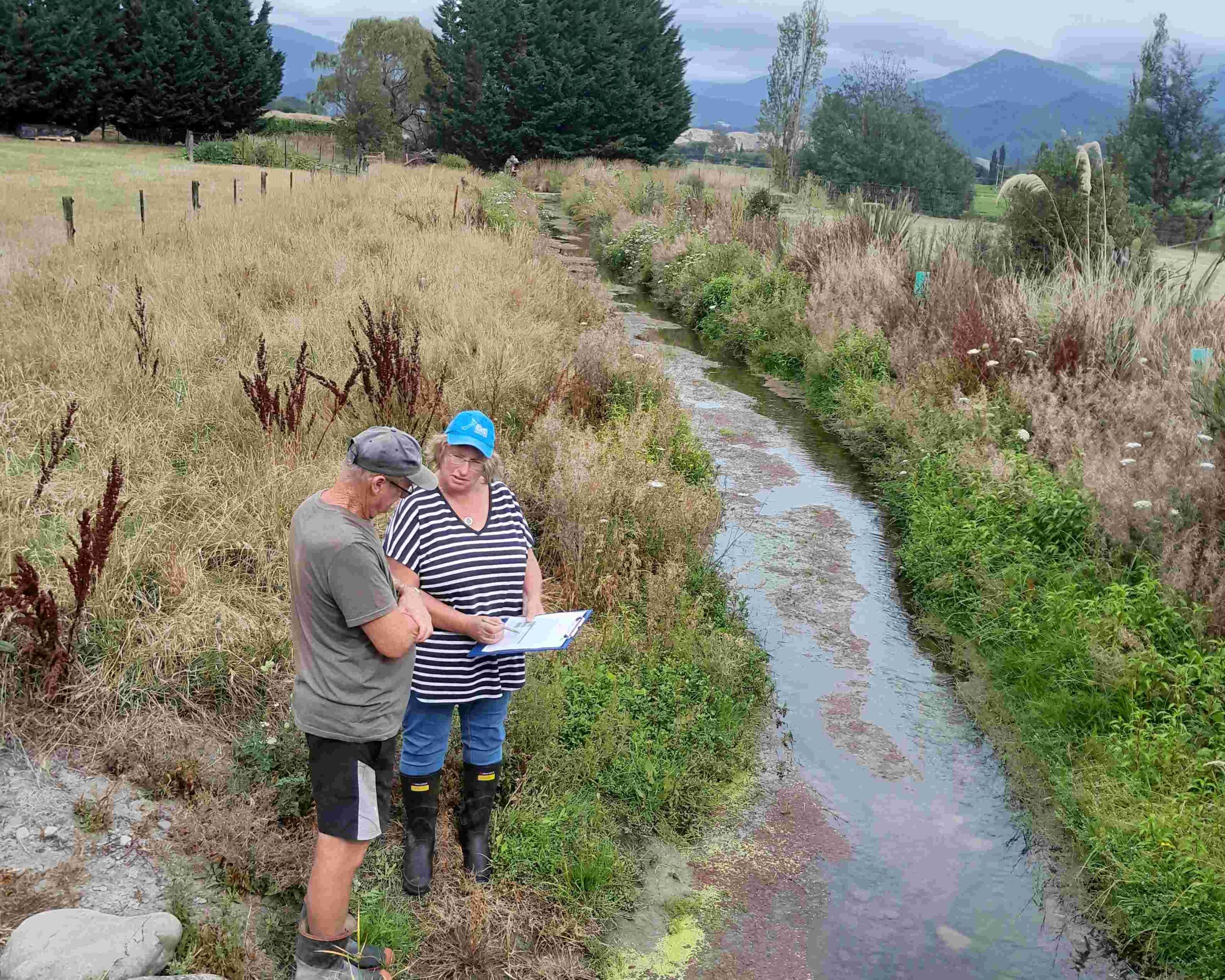 South Marlborough Planting and Restoration Guide