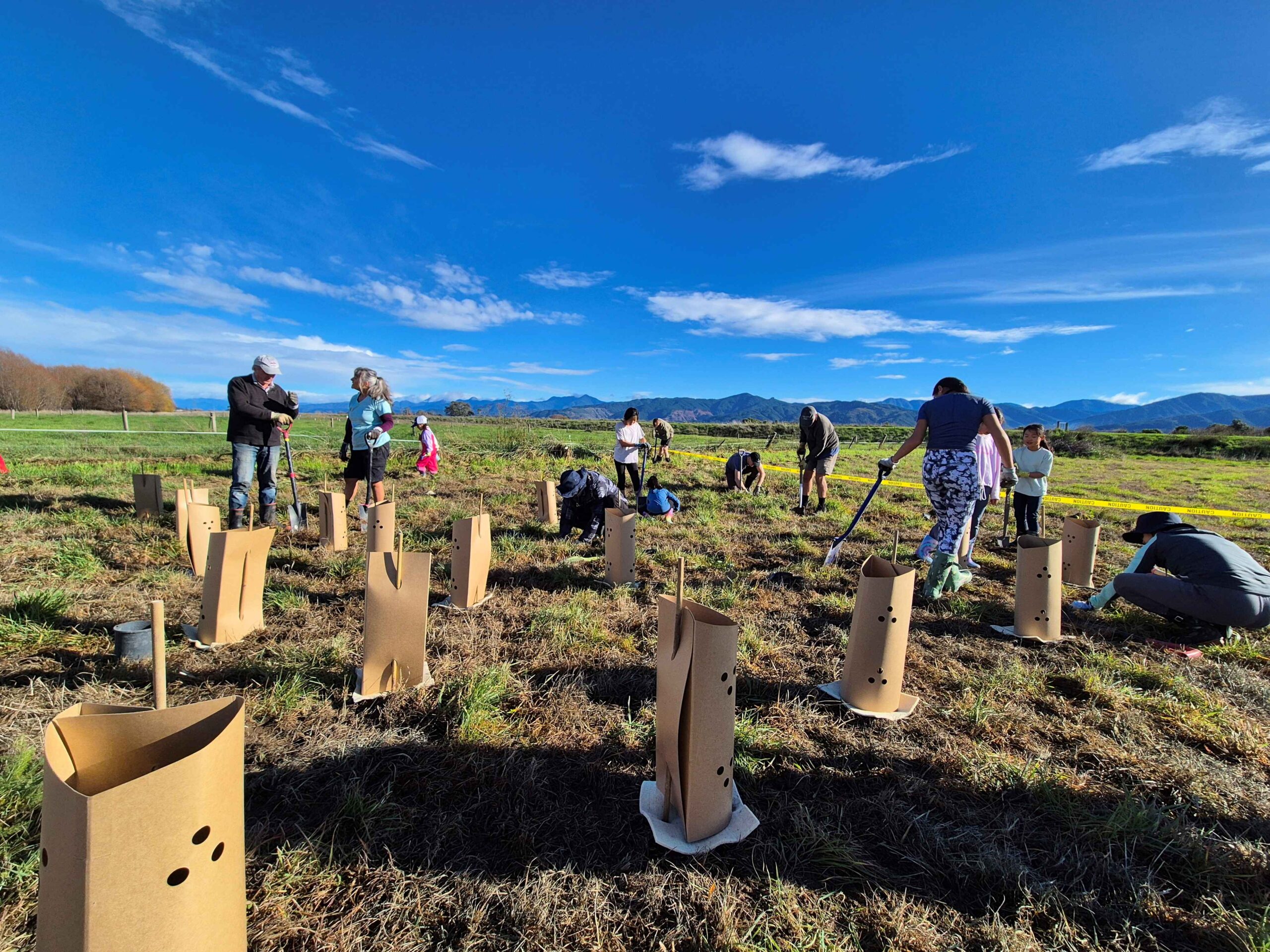 Community planting day at Thomsons Ford Reserve, June 2026
