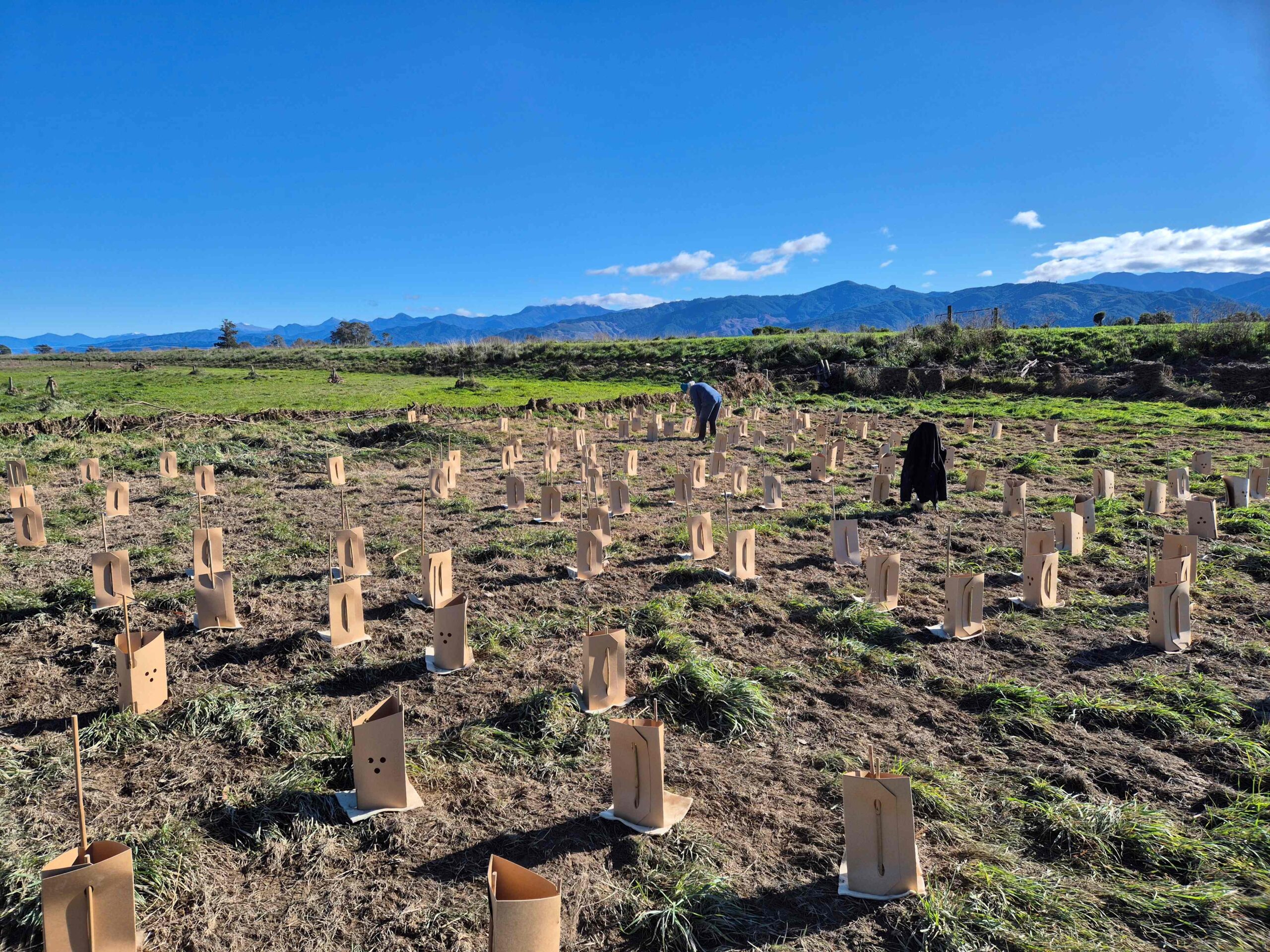 Integrating native planting and flood protection