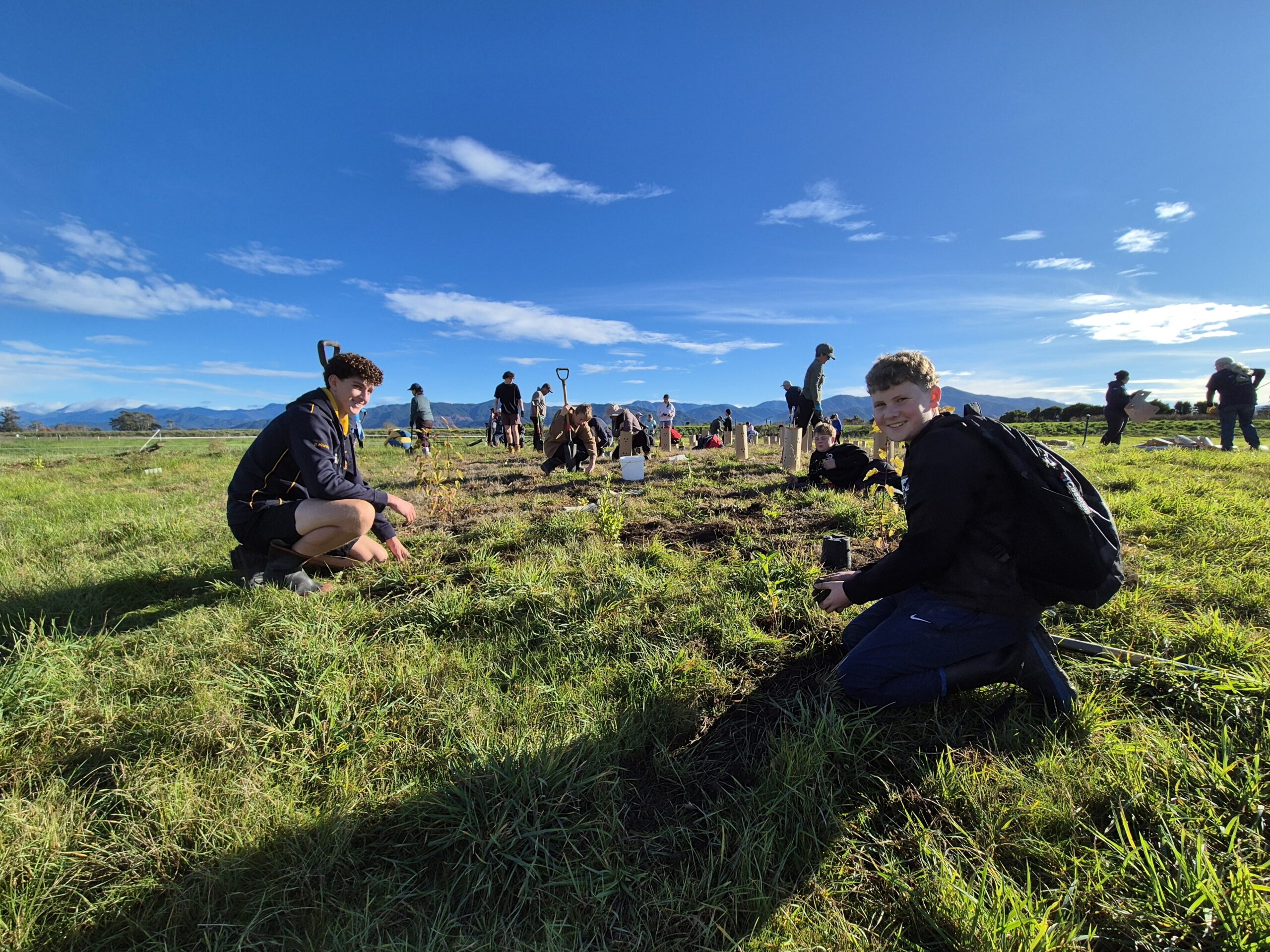 Kaitiaki/guardian/s wanted: Thomsons Ford Reserve